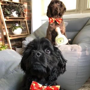 Meet your Posher, Adrian